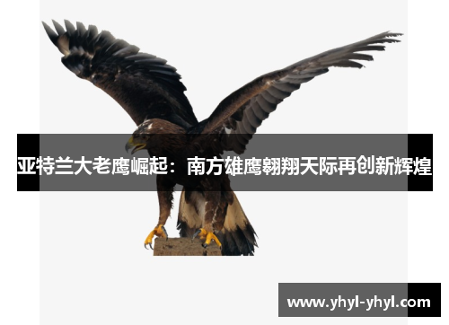 亚特兰大老鹰崛起：南方雄鹰翱翔天际再创新辉煌