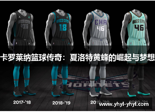 卡罗莱纳篮球传奇：夏洛特黄蜂的崛起与梦想
