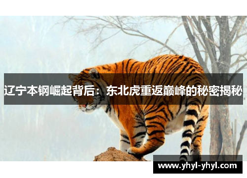 辽宁本钢崛起背后：东北虎重返巅峰的秘密揭秘